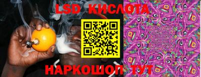 спиды Новодвинск