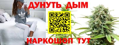 спиды Новодвинск