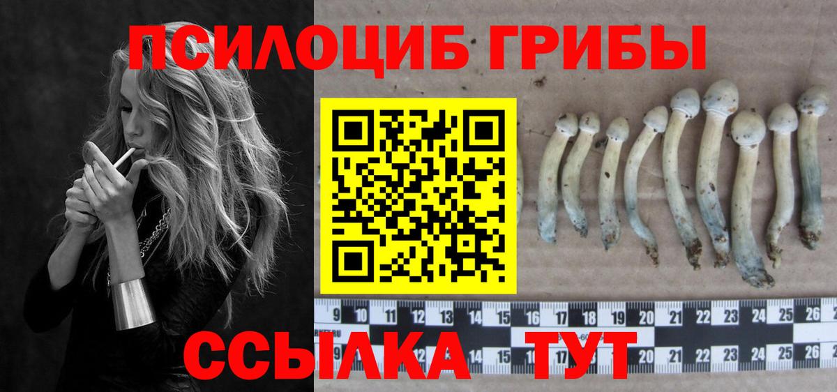 Саянск  Галлюциногенные грибы MAGIC MUSHROOMS  Галлюциногенные грибы мухоморы  Вход с VPN 